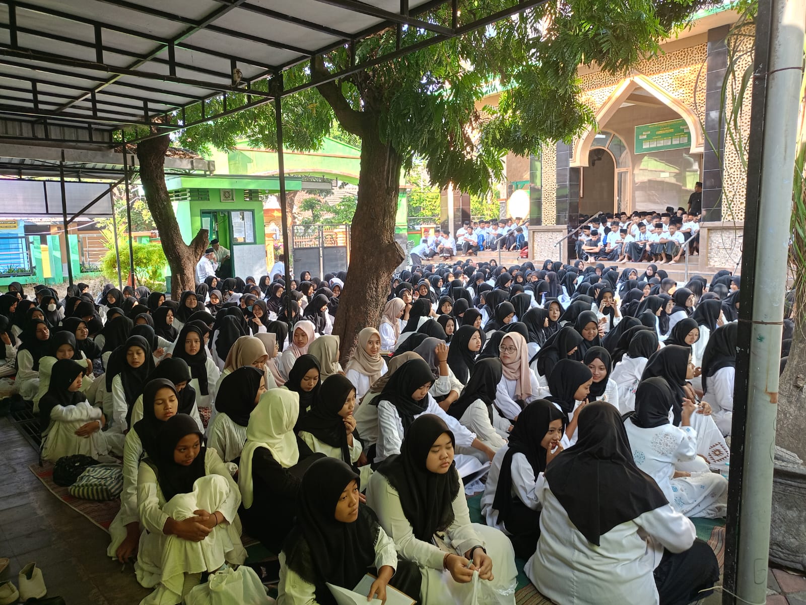 WhatsApp Image 2024-09-18 at 07.24.21 (1)