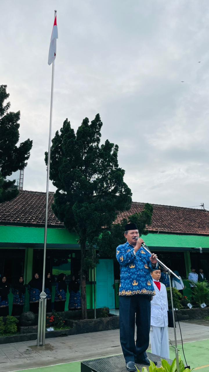 WhatsApp Image 2025-11-17 at 07.52.59